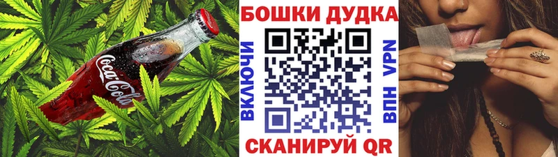 kraken онион  Нестеров  Canna-Cookies конопля 
