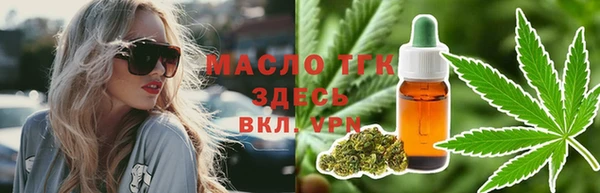 гашик Пересвет