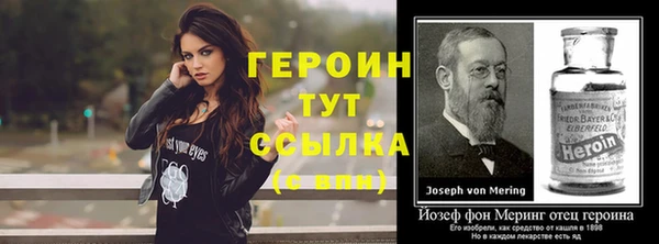 гашик Пересвет