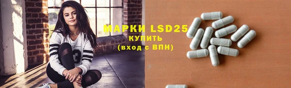 гашик Пересвет