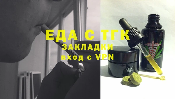 мдпв Туринск