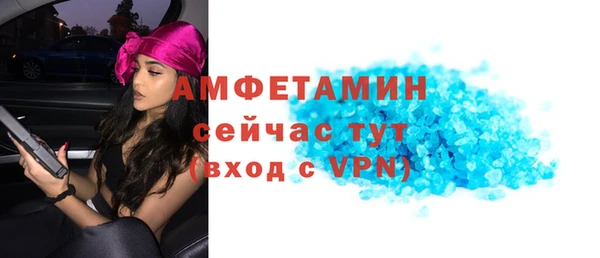 гашик Пересвет