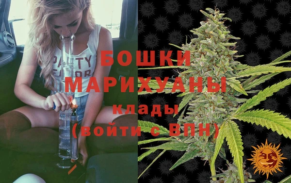 дурь Осинники