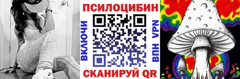 Псилоцибиновые грибы мицелий  Нестеров 